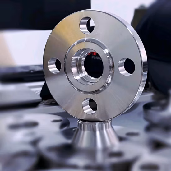 Flange in Acciaio Inox Personalizzate Realizzate su Disegno